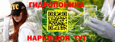 таблы Бердск