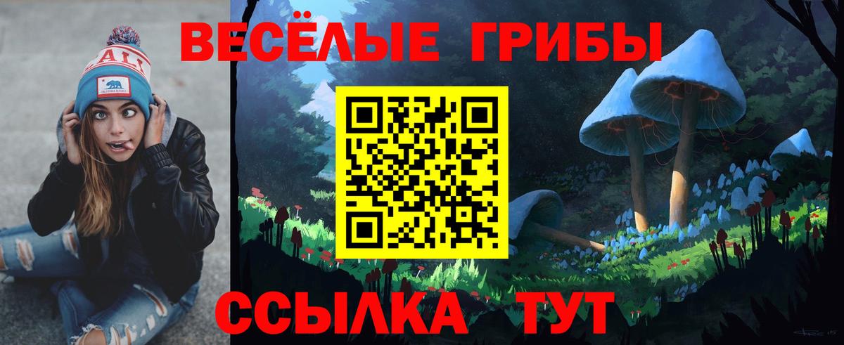 Псилоцибиновые грибы мицелий Рыбинск